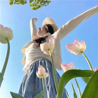 只恨深情不识鸢